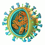 Challenges in Vector Purification for Gene Therapy