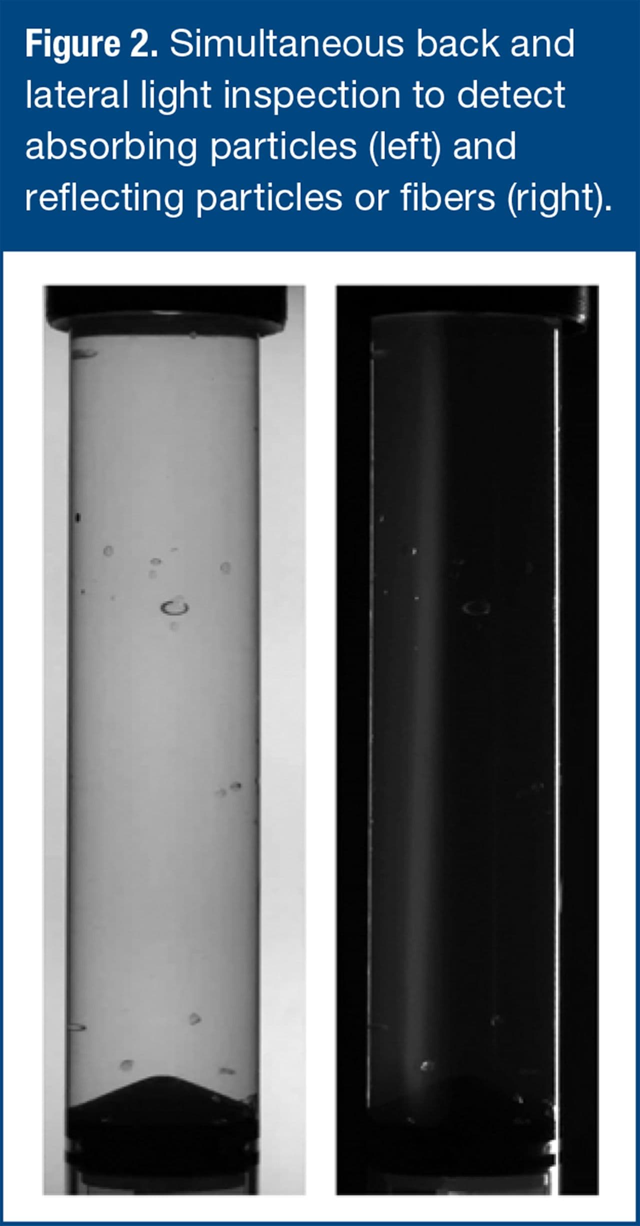 Figure 2. Simultaneous back and lateral light inspection to detect absorbing particles (left) and reflecting particles or fibers (right).