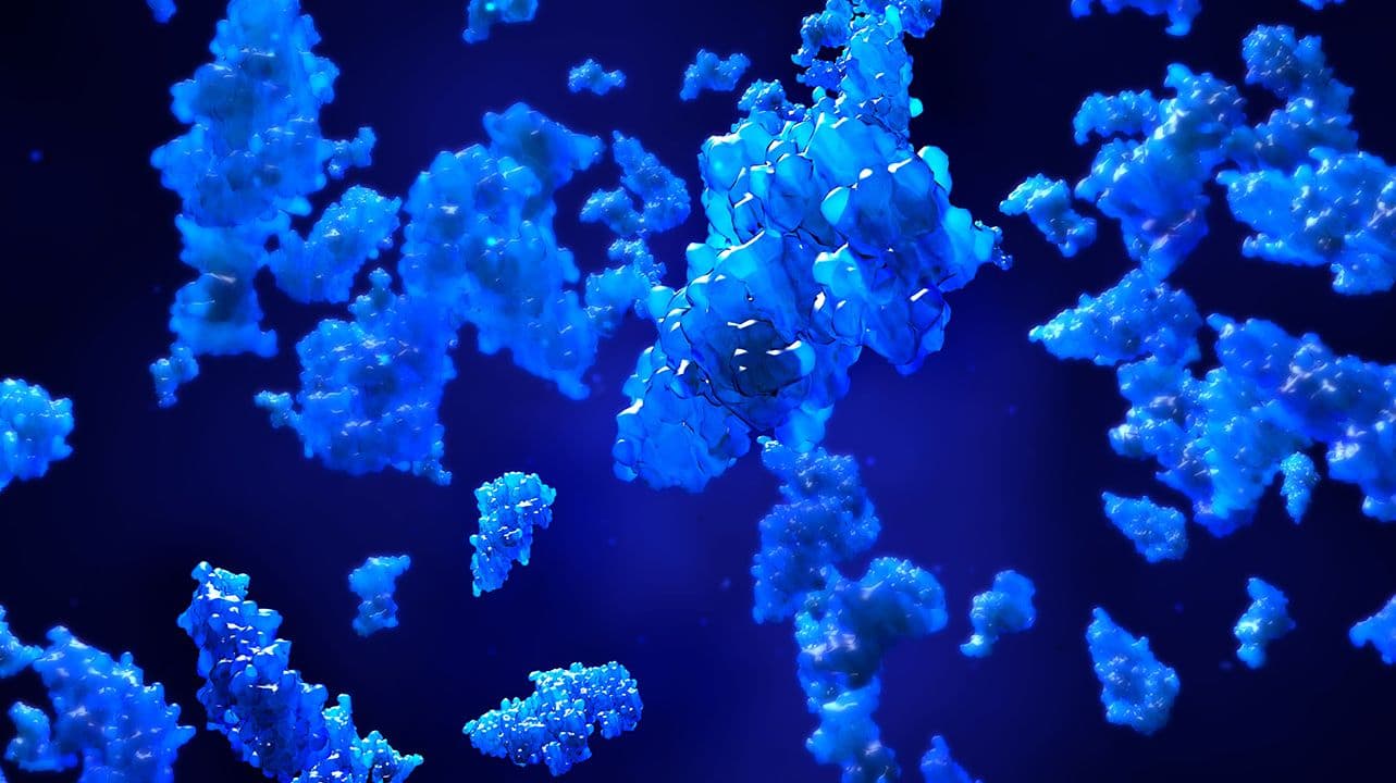 Design Cells/Stock.Adobe.com – rendering of protein molecules