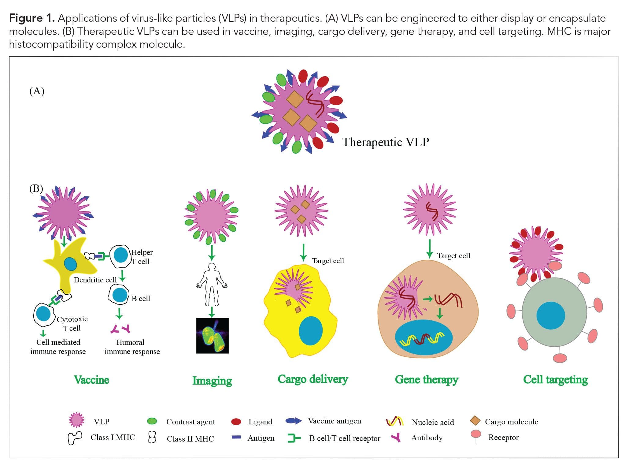 VLP applications