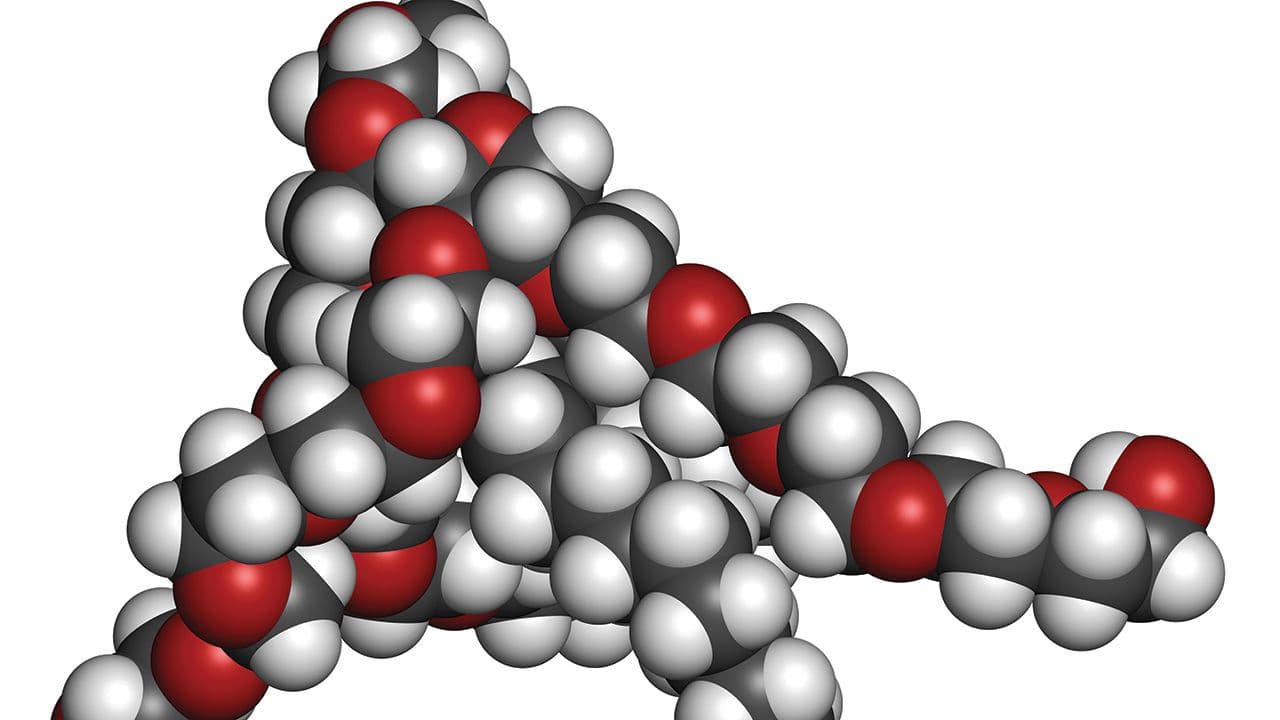 Polysorbate 80 surfactant and emulsifier molecule. | Image Credit: © molekuul.be - © molekuul.be/stock.adobe.com