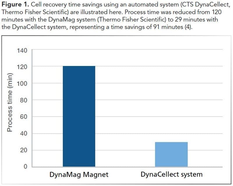 FIGURE COURTESY OF THE AUTHOR. Figure 1. Cell recovery time savings using an automated system (CTS DynaCellect, Thermo Fisher Scientific) are illustrated here. Process time was reduced from 120 minutes with the DynaMag system (Thermo Fisher Scientific) to 29 minutes with the DynaCellect system, representing a time savings of 91 minutes (4).