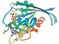 Challenges of Protein Aggregation during Purification