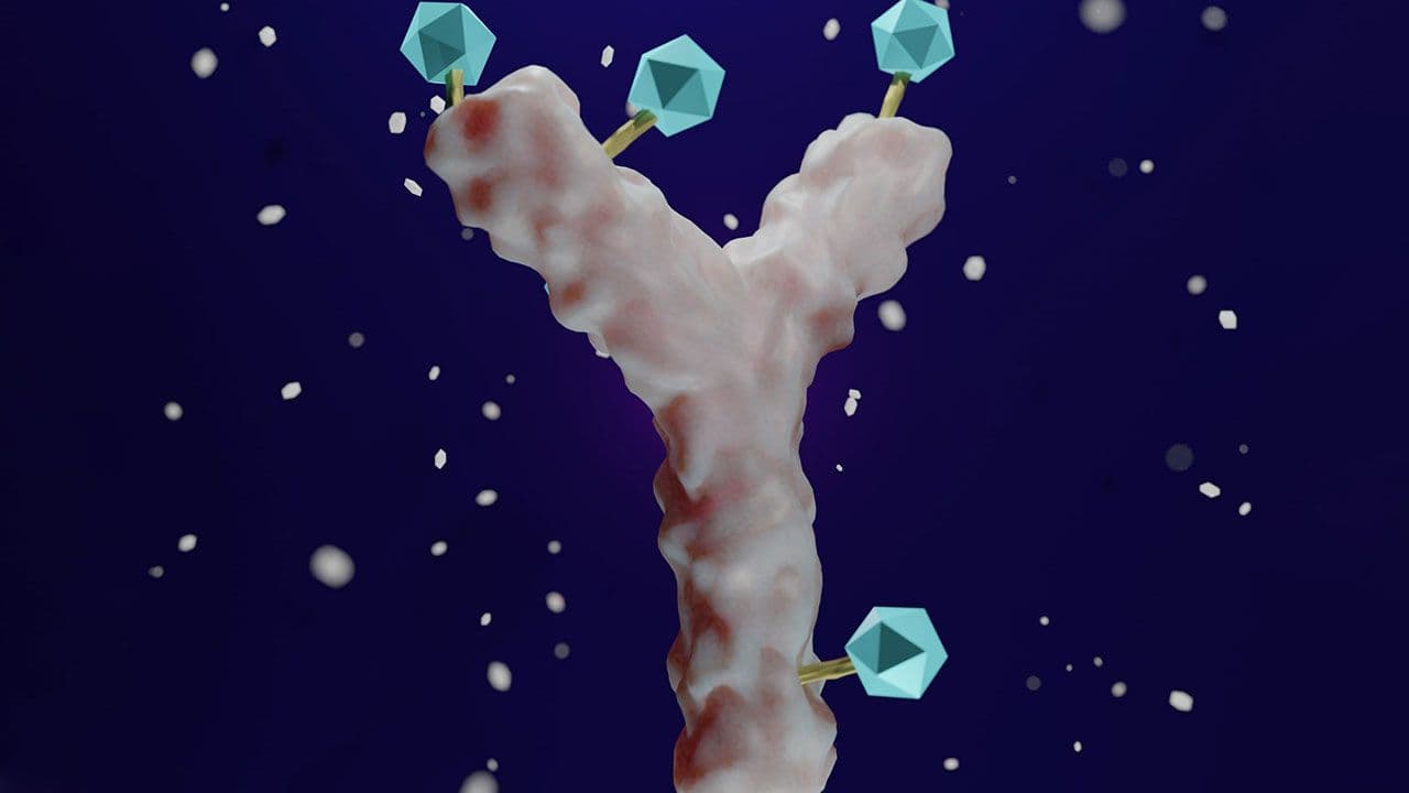 Antibody drug conjugated with cytotoxic payload. antibody linked to a biologically active cytotoxic (anticancer) payload or drug 3d rendering | ©Love Employee - stock.adobe.com