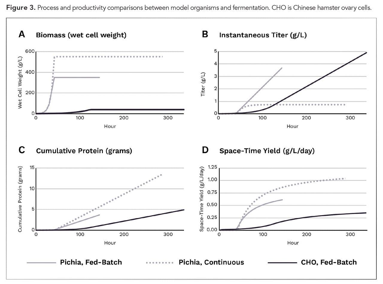 Figure 3. Process and productivity comparisons between model organisms and fermentation. CHO is Chinese hamster ovary cells. (Figures courtesy of the authors)