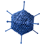 Cell Culture Variables for Gene Therapy Vectors