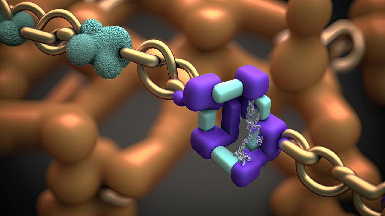 immunoglobulin heavy chain only. Generative AI | Image Credit: © 2ragon - © 2ragon - Stock.Adobe.com