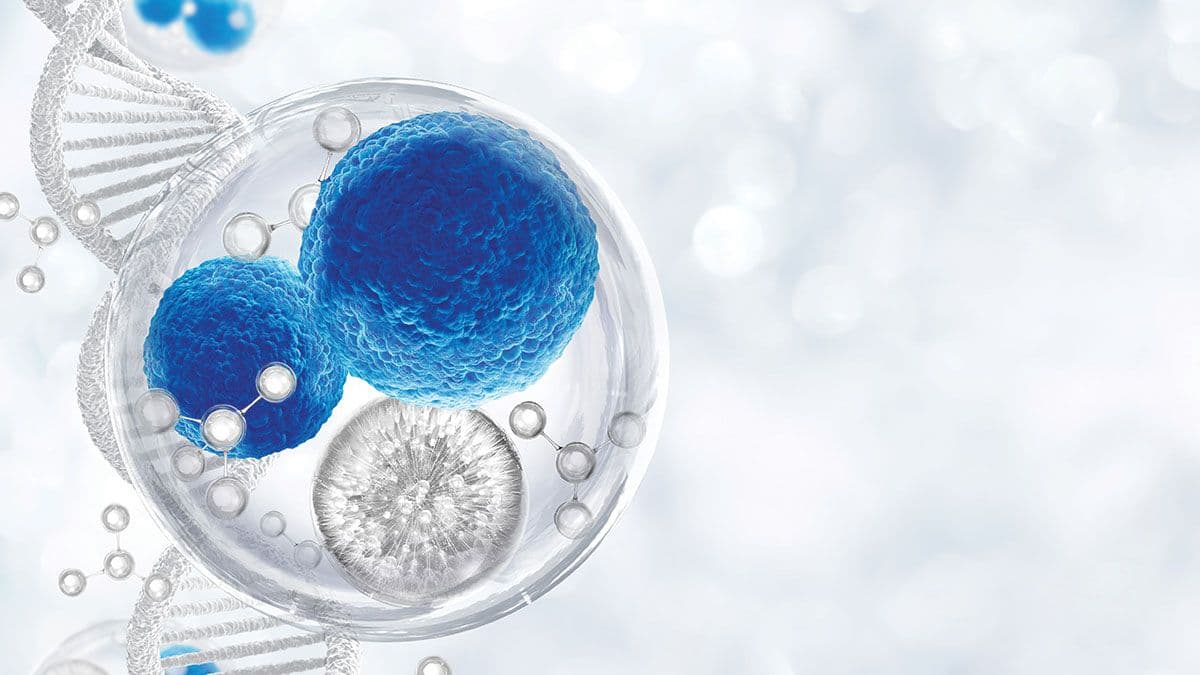 growth factor and stem cells | Image Credit: ©Thongden_studio - Stock.adobe.com