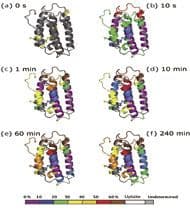 Performing Hydrogen/Deuterium Exchange with Mass Spectrometry