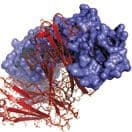 Particle Analysis Techniques Help Meet Regulatory Requirements