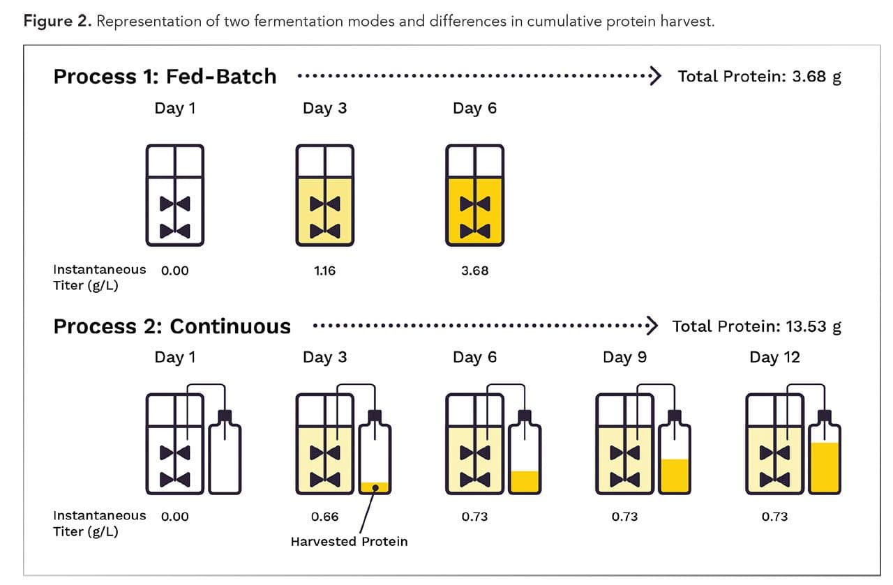 Figure 2. Representation of two fermentation modes and differences in cumulative protein harvest. (Figures courtesy of the authors)