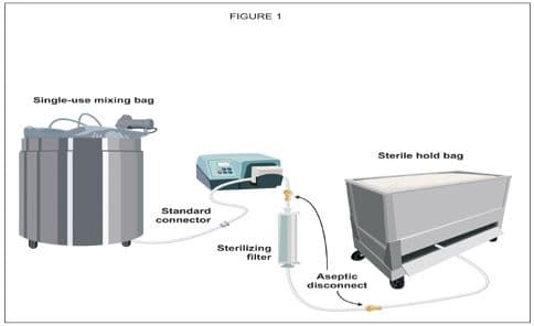 Boehm_Fig1-637585-1408643876647.jpg