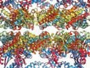 Differentiation and Characterization of Protein Aggregates and Oil Droplets in Therapeutic Products