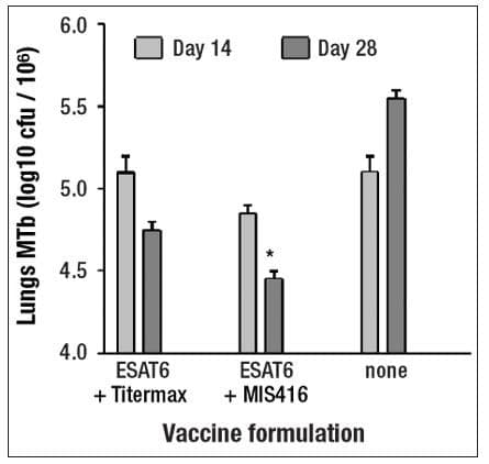 Fig3_vaccine_formulation-575564-1408667375689.jpg