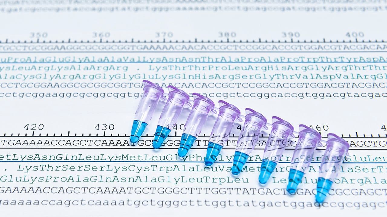 Protein sequencing by analysis of codon sequence of DNA | Image Credit: © HYUNGKEUN - © HYUNGKEUN - stock.adobe.com