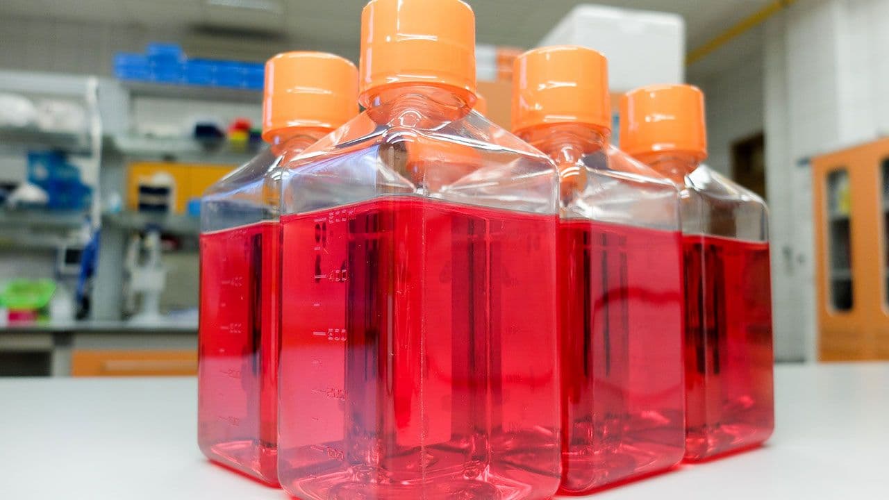 Bottles with cell culture medium containing nutrients essential for cell survival | Image Source: ©Artur Wnorowski/Stock.Adobe.com