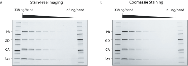 BP0916_proteinchar_Figure2_625.gif