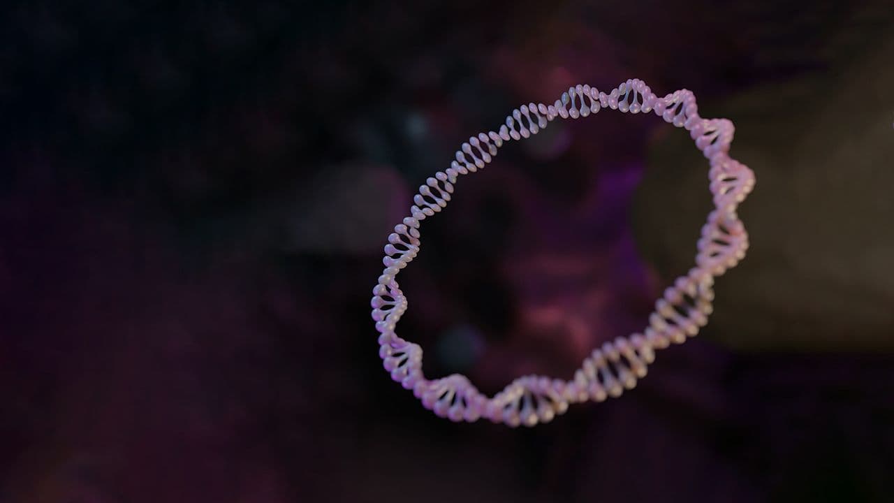 A plasmid is a small circular DNA molecule found in bacteria and some other microscopic organisms 3d rendering | Image Credit: © Love Employee - stock.adobe.com