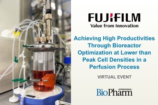 Achieving High Productivities through Bioreactor Optimization at Lower than Peak Cell Densities in a Perfusion Process